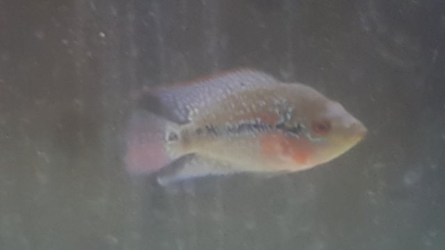 20170415_133949.jpg