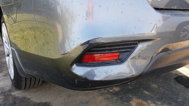 20170419_081632.jpg
