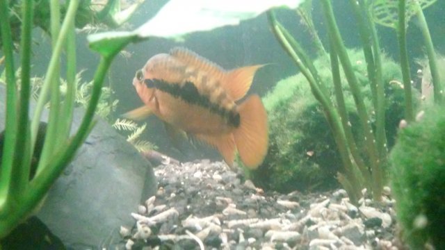 20170421_074018.jpg