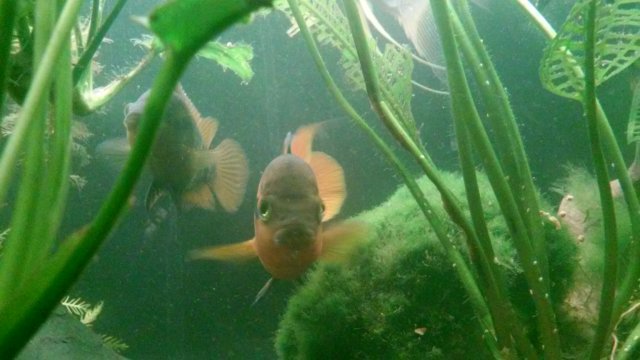 20170421_074137.jpg