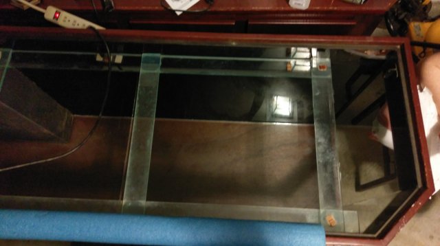 IMAG0310.jpg IMAG0310.jpg