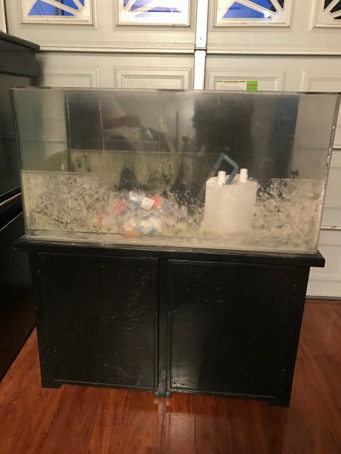 Fish tank 1.JPG
