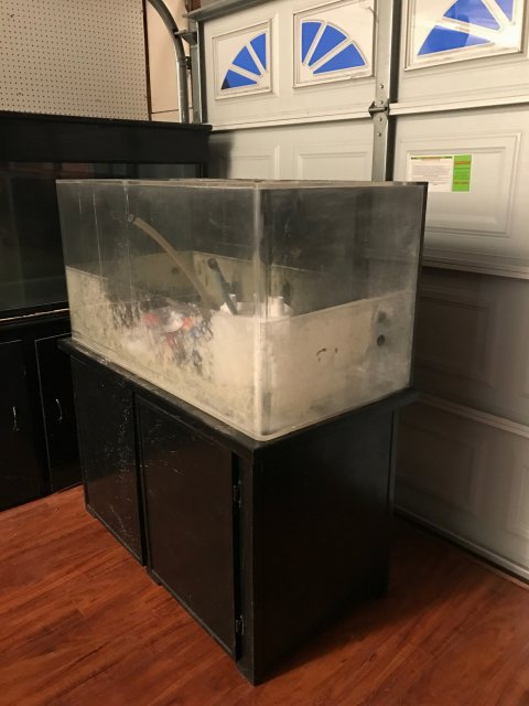 fish tank 2.JPG