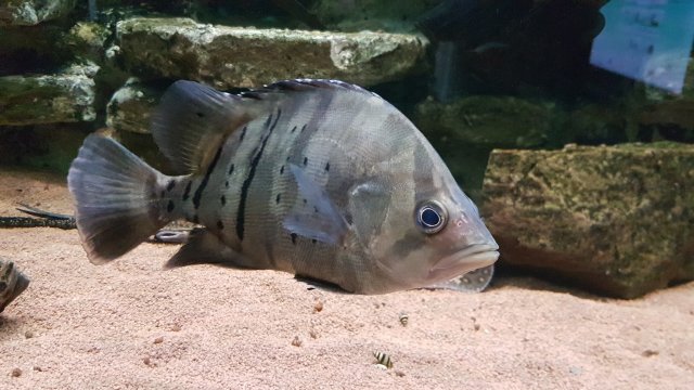 20170422_181450.jpg