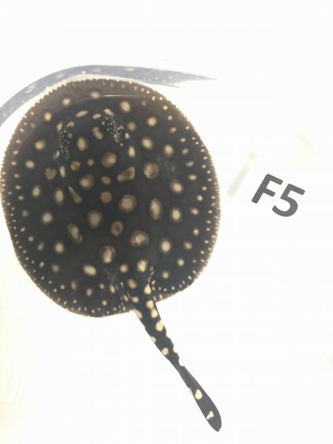 IMG_4570.JPG IMG_4570.JPG