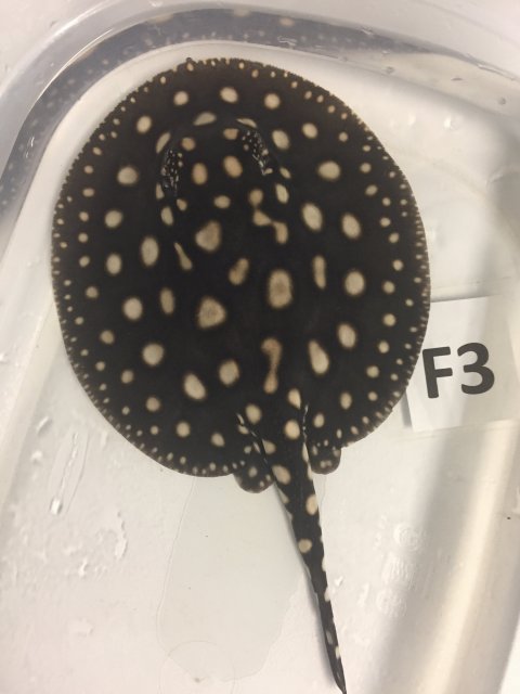 IMG_4696.JPG IMG_4696.JPG