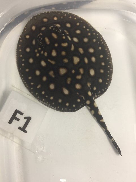 IMG_4682.JPG IMG_4682.JPG