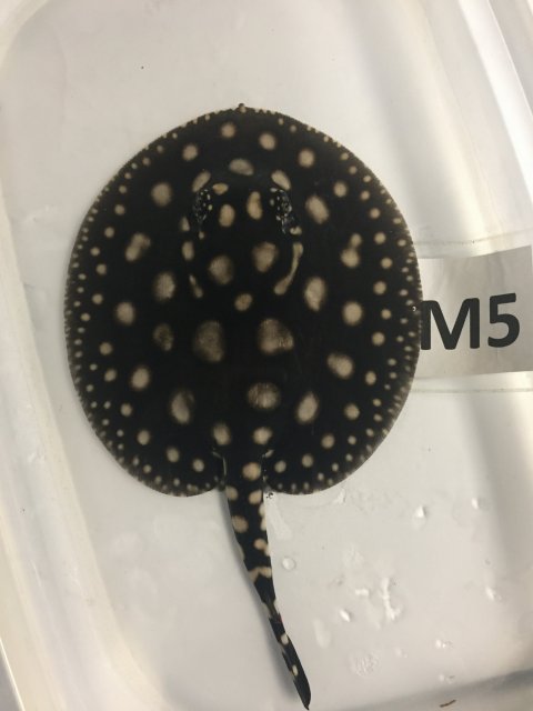 IMG_4559.JPG IMG_4559.JPG