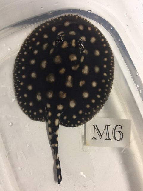 IMG_4597.JPG IMG_4597.JPG