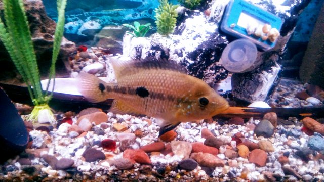20170419_190856.jpg 20170419_190856.jpg