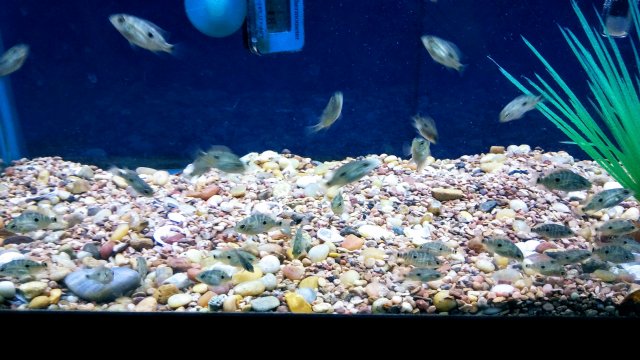 20170419_194313.jpg 20170419_194313.jpg