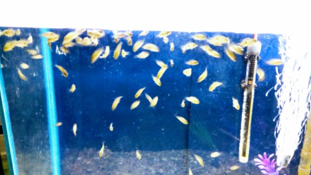 20170417_171036.jpg 20170417_171036.jpg