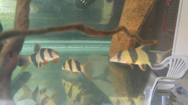 20170425_140232.jpg