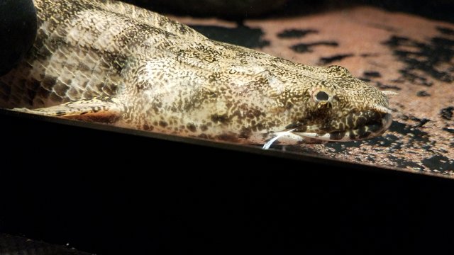 20170426_115050.jpg