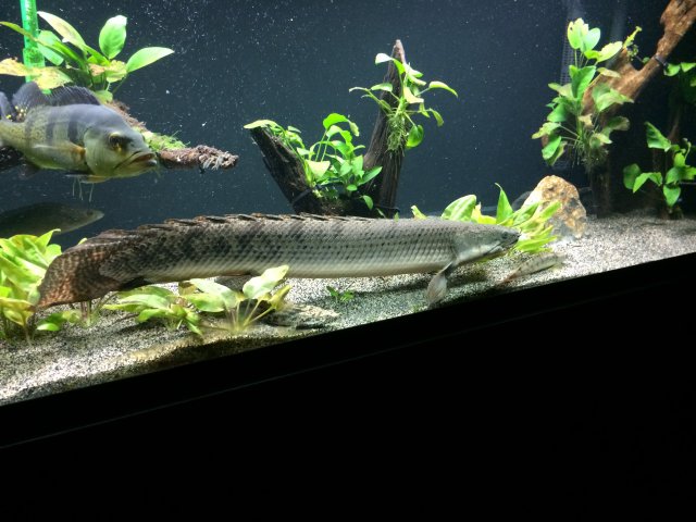 image.jpeg image.jpeg