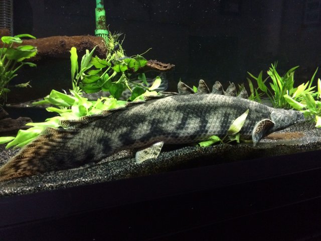 image.jpeg image.jpeg