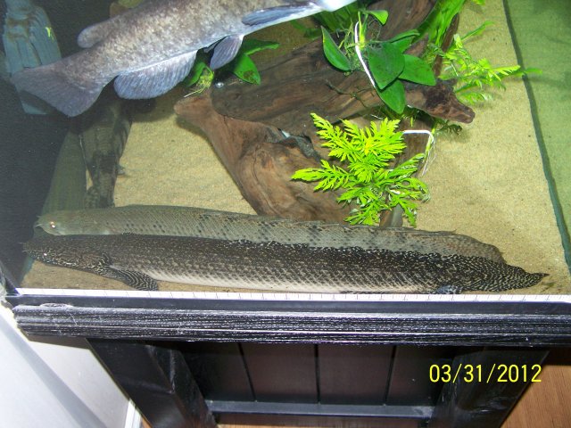 image.jpeg image.jpeg