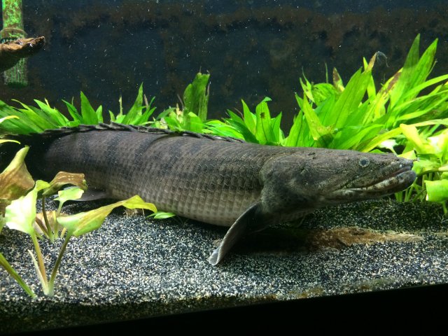 image.jpeg image.jpeg