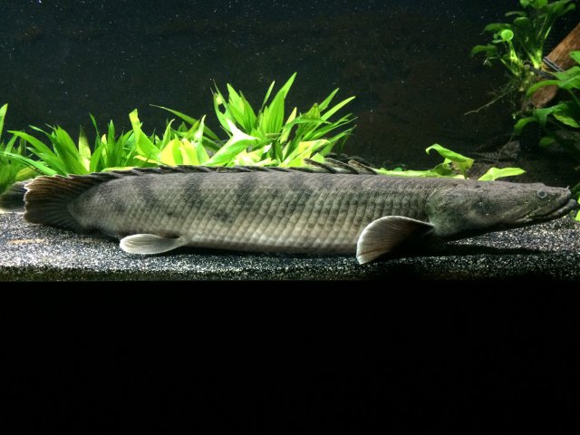 image.jpeg image.jpeg