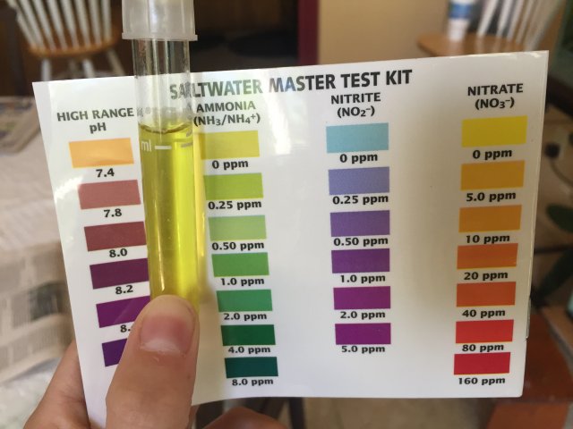 IMG_2707.JPG IMG_2707.JPG