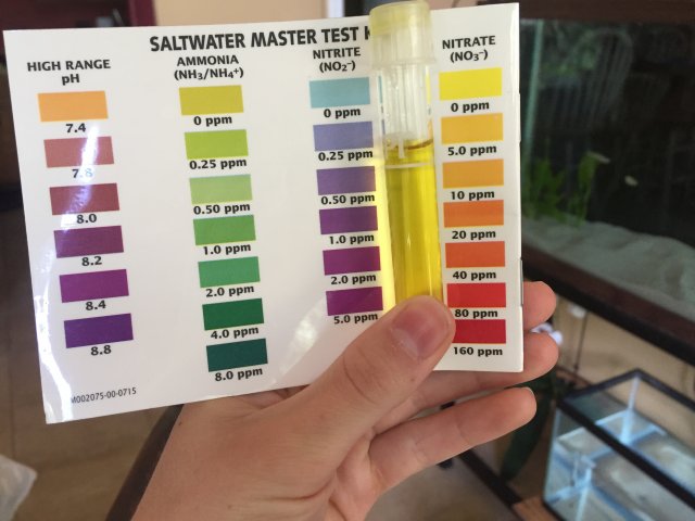 IMG_2708.JPG IMG_2708.JPG