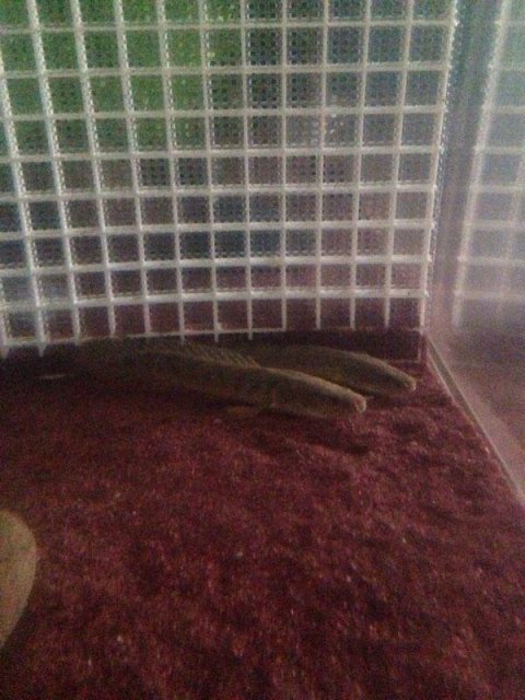 18155516_1706800022669694_1701365852_n.jpg 18155516_1706800022669694_1701365852_n.jpg