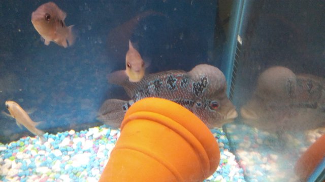 20170422_130410.jpg