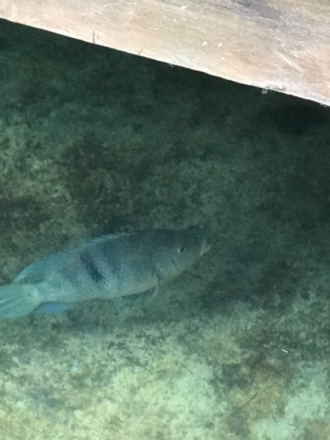 IMG_1340.JPG IMG_1340.JPG