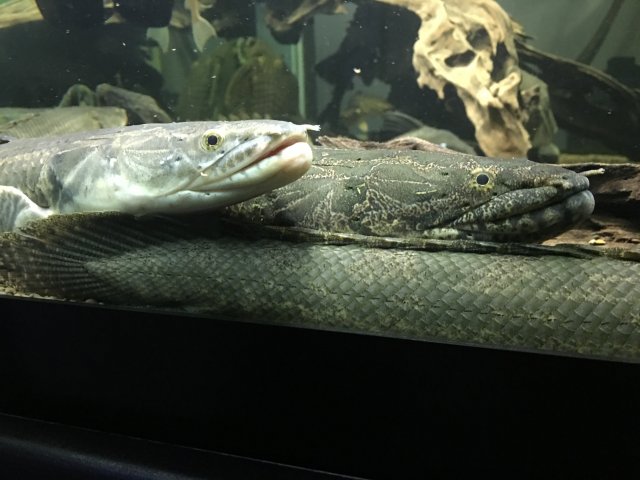 IMG_9998.JPG IMG_9998.JPG