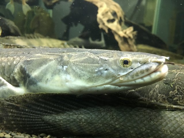 IMG_0001.JPG IMG_0001.JPG