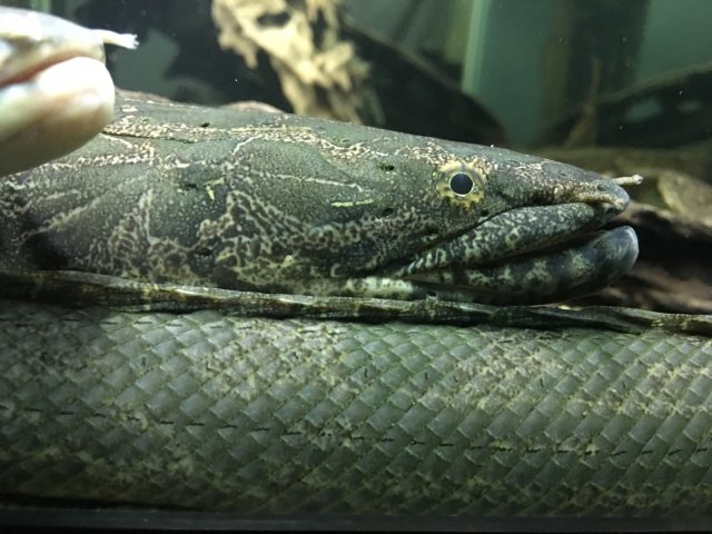 IMG_0002.JPG IMG_0002.JPG