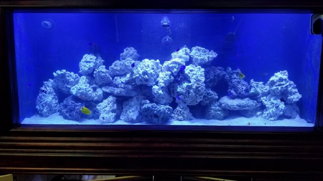 20170427_190154.jpg 20170427_190154.jpg