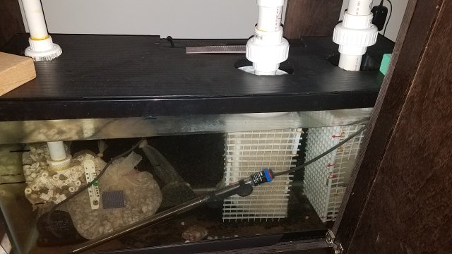 20170428_224041.jpg