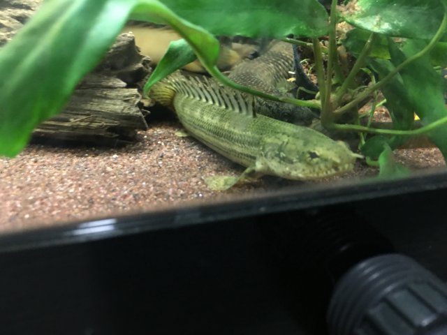 IMG_0071.JPG IMG_0071.JPG