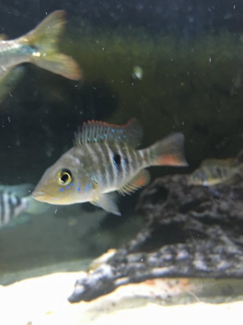 IMG_3703.JPG