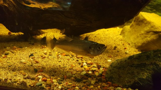 20170427_114431.jpg 20170427_114431.jpg