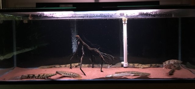 20170430_103953.jpg