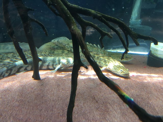 IMG_5213.JPG