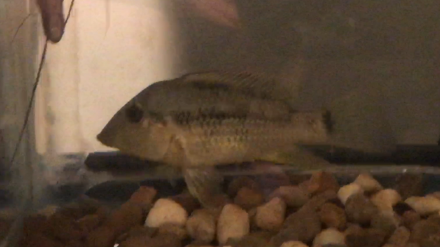 IMG_0356.PNG IMG_0356.PNG