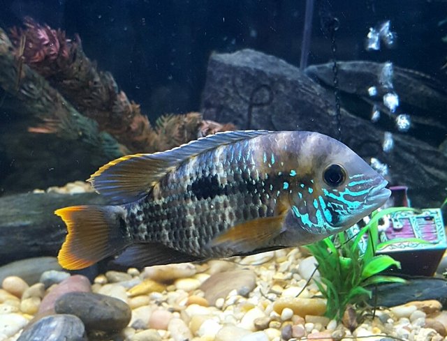 20170418_102250.jpg 20170418_102250.jpg