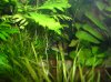 555.JPG 555.JPG