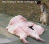 funny0440ff.JPG