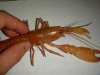 DSC00311.JPG