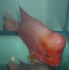 DSCN1241.JPG