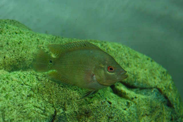 DSC_0063.JPG