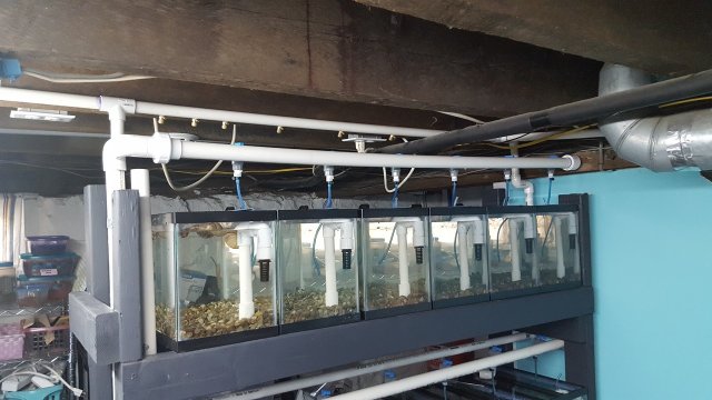20170502_151728.jpg