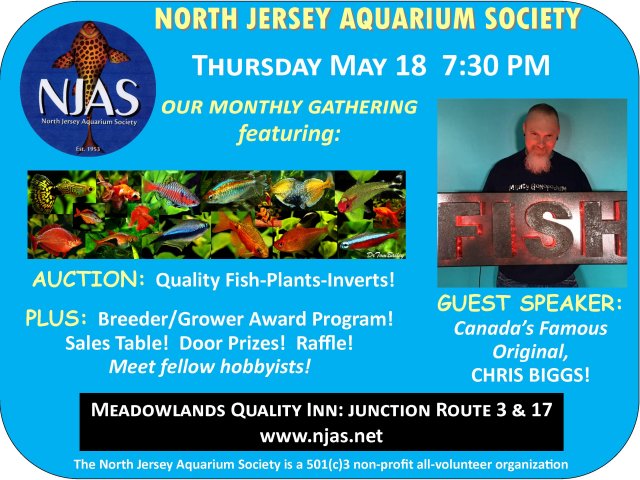 Flyer May 2017.jpg Flyer May 2017.jpg