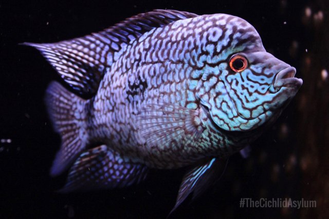 IMG_5193.JPG IMG_5193.JPG