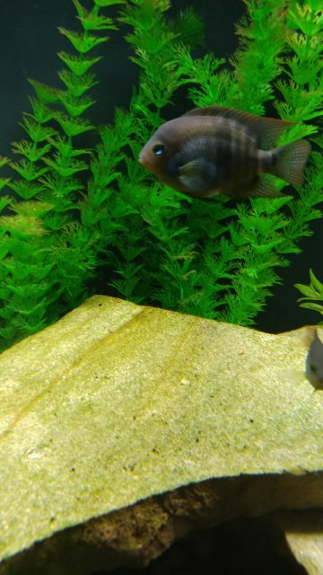 20170504_201727.jpg