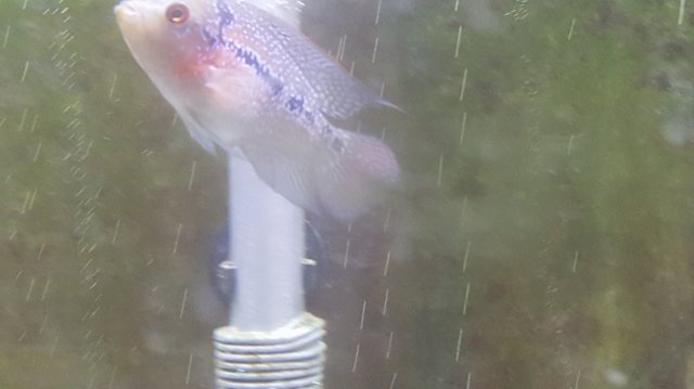 20170506_210156.jpg